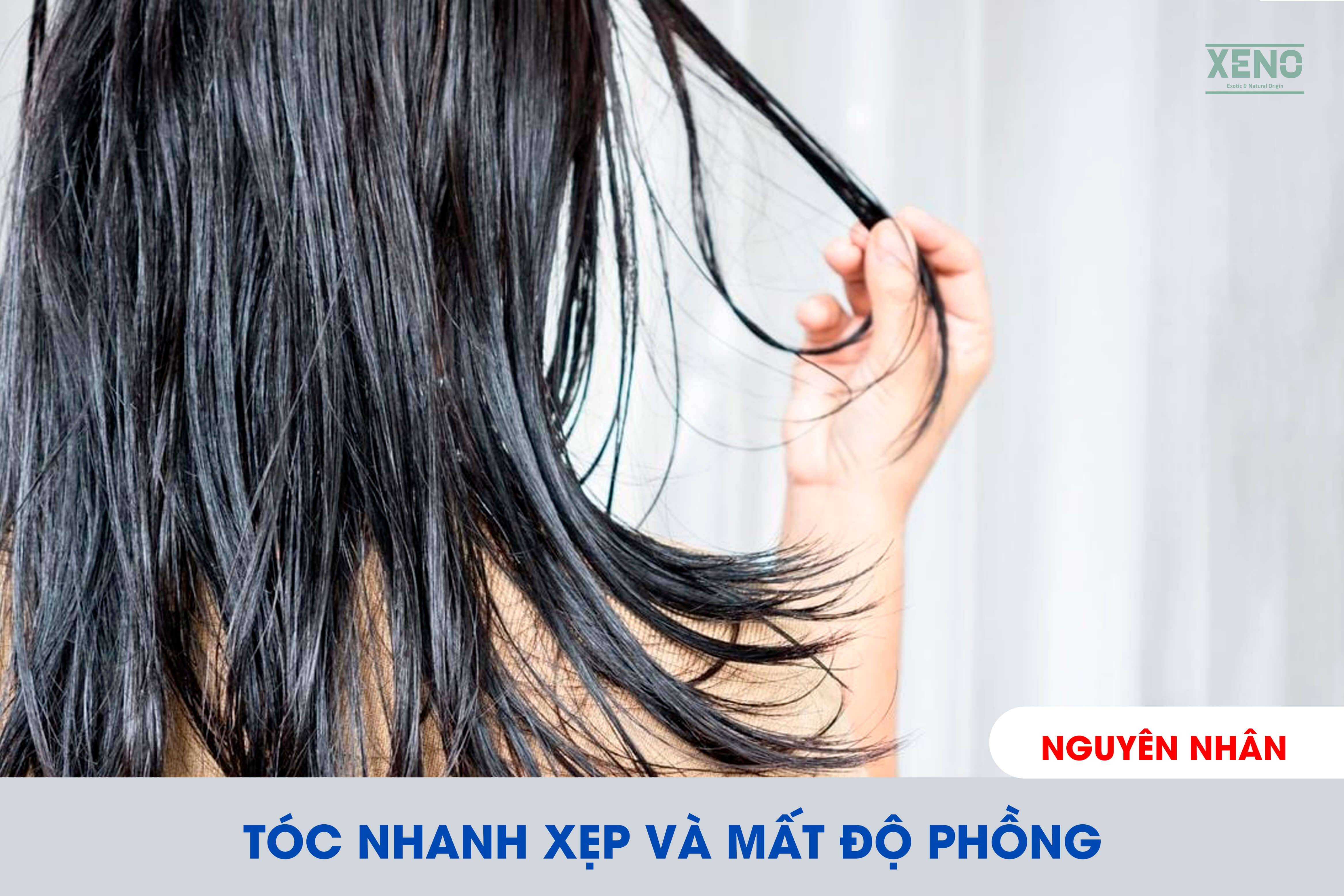 toc-bi-xep-phai-lam-sao